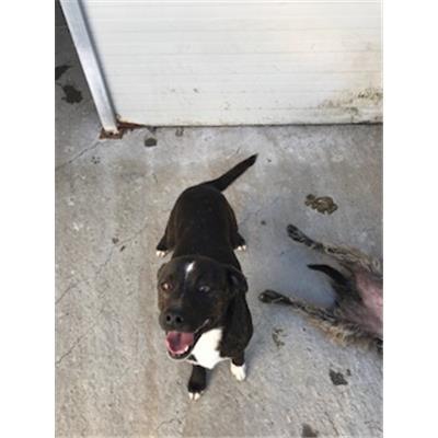 MONASTIR - 380260110014493