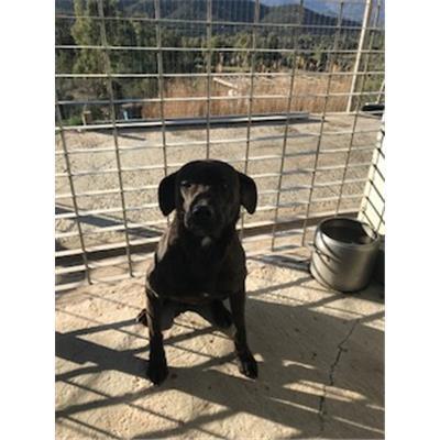 MONASTIR - 380260110014498