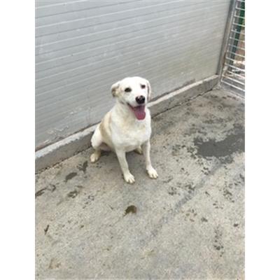 SELARGIUS - 380260043396182