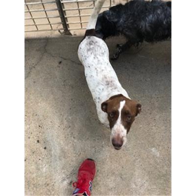 MONSERRATO - 380260043396559