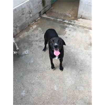 BURCEI - 380260043399372