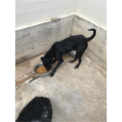 MONSERRATO - 380260043392877