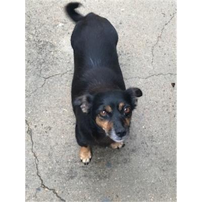 VILLASALTO - 380260043429057