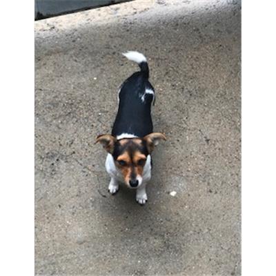 VILLASALTO - 380260043428693